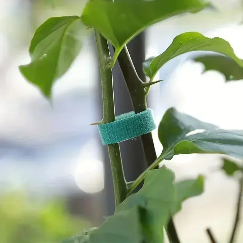 1/100M Adjustable Self Adhesiv - đánh giá và giá Gear Tie Reusable